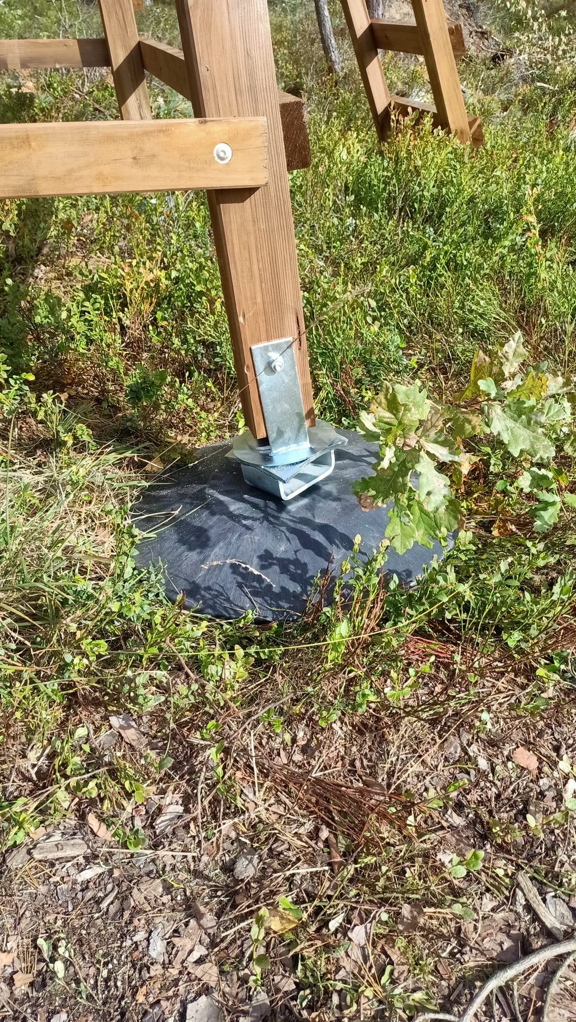 Grasstoppplatten